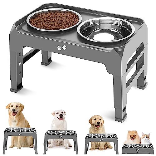 Best Elevated Dog Bowls