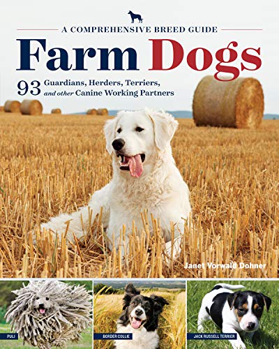 Best Farm Dog Breeds