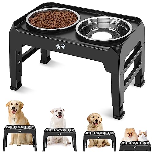 Best Food And Water Bowls for Dogs