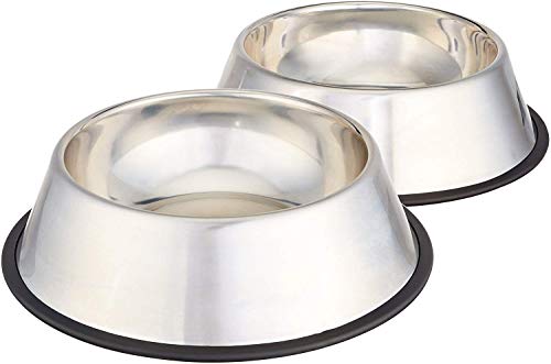 Best Food Bowls for Dogs