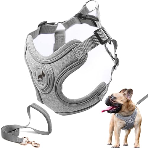 Best French Bulldog Harness