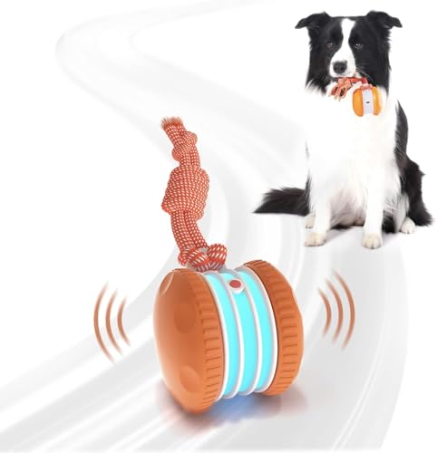 Best Interactive Dog Toys for Aggressive Chewers