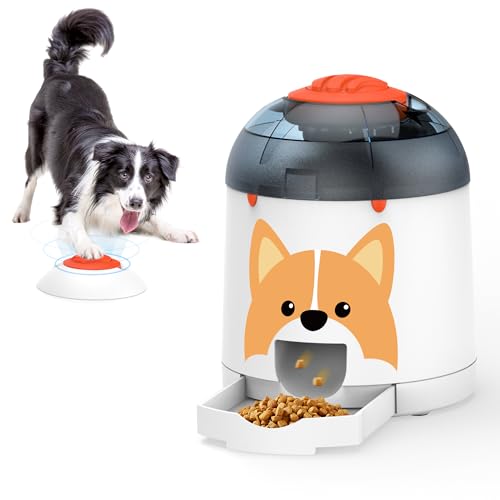 Best Interactive Dog Treat Dispenser