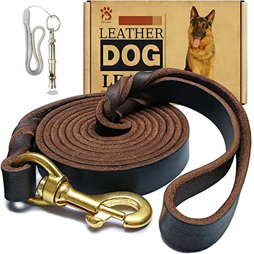 Best Leather Dog Leashes