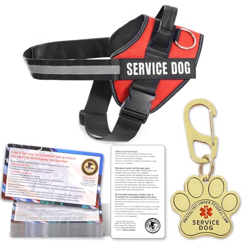 Best Mobility Service Dog Breeds