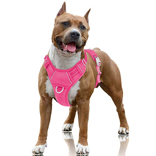 Best No Pull Dog Harness for Boxers