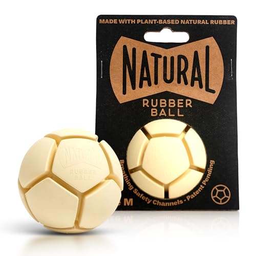 Best Non Toxic Dog Toys