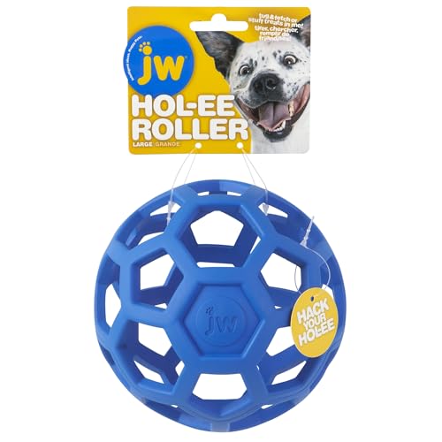 Best Outdoor Dog Toys