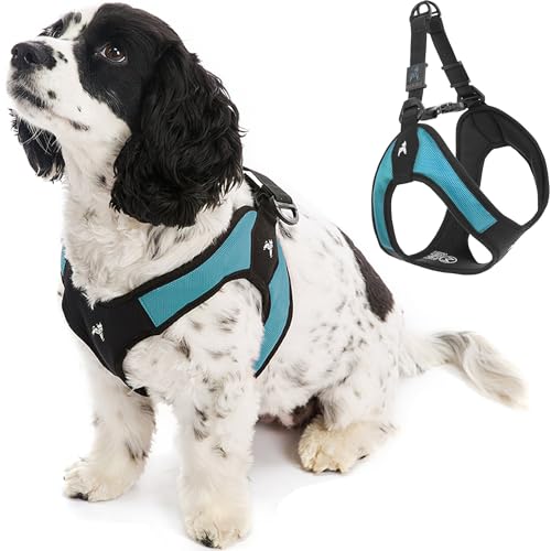 Best Padded Dog Harness