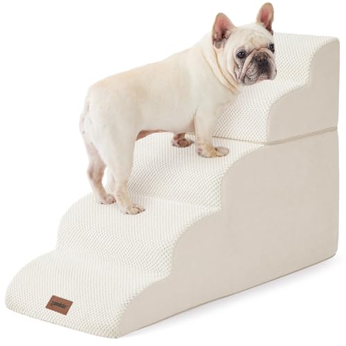 Best Pet Insurance for Dogs California