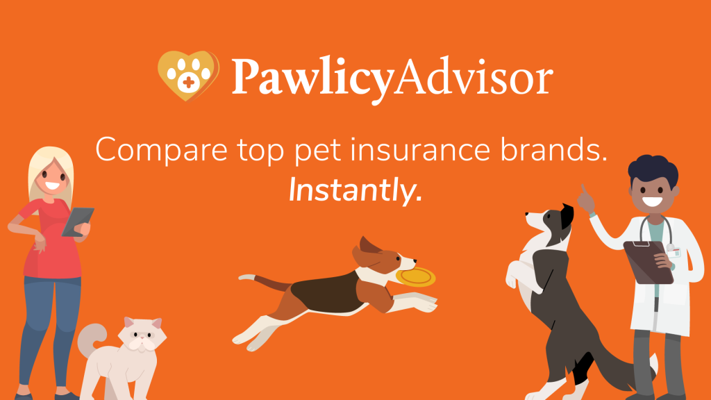 Best Pet Insurance for Dogs in Florida