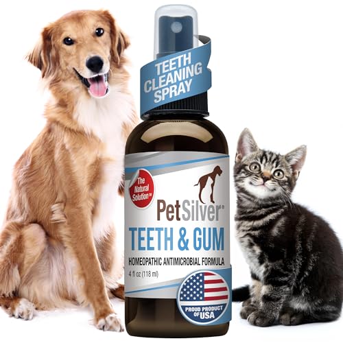 Best Pet Insurance for Multiple Dogs