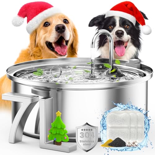 Best Pet Water Fountain for Dogs