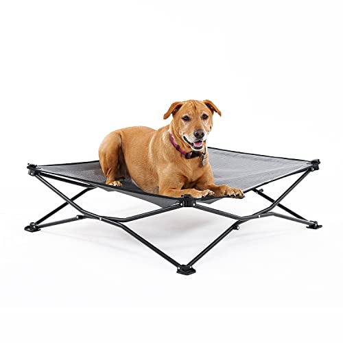 Best Portable Dog Bed for Camping