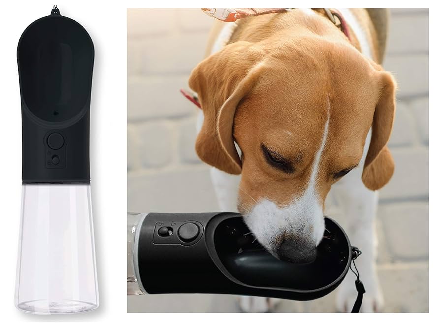 Best Portable Dog Water Bottle