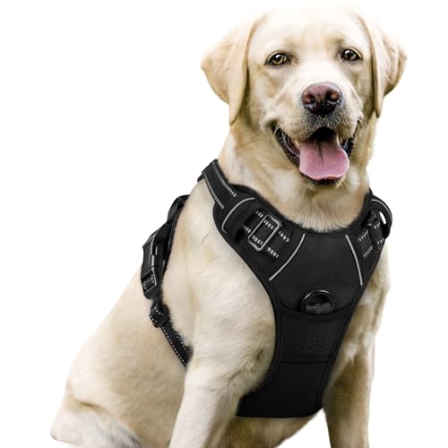 Best Rated Dog Harnesses