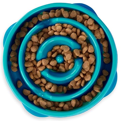 Best Slow Feeder Dog Bowls