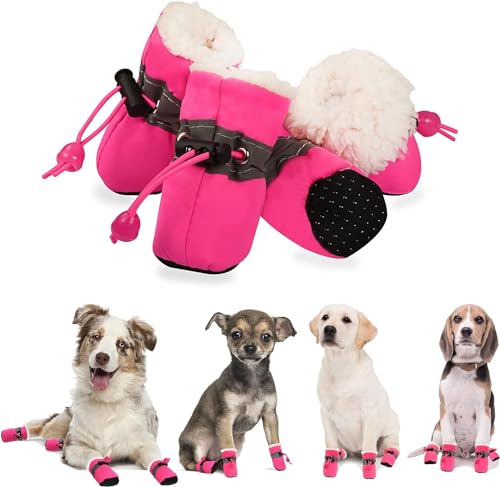Best Small Dog Winter Boots