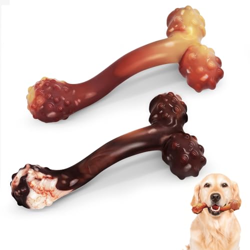 Best Super Chewer Dog Toys