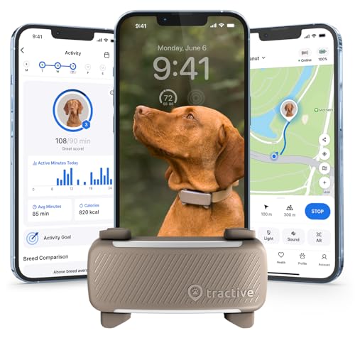 Best Tracking Dog Breeds