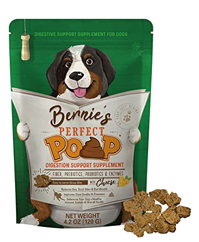 Best Vitamin B for Dogs Who Eat Poop