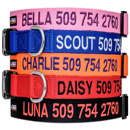 Buy Dog Collar for Identification