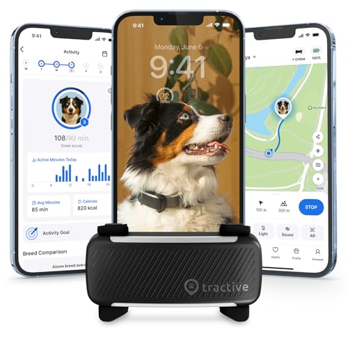 Buy Dog Collar With Gps Tracker