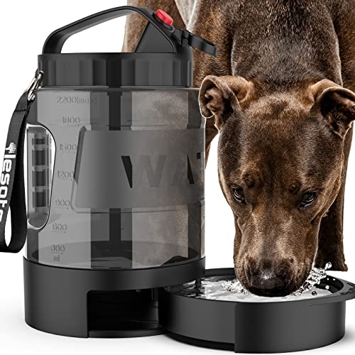 Buy Dog Gear for Road Trips
