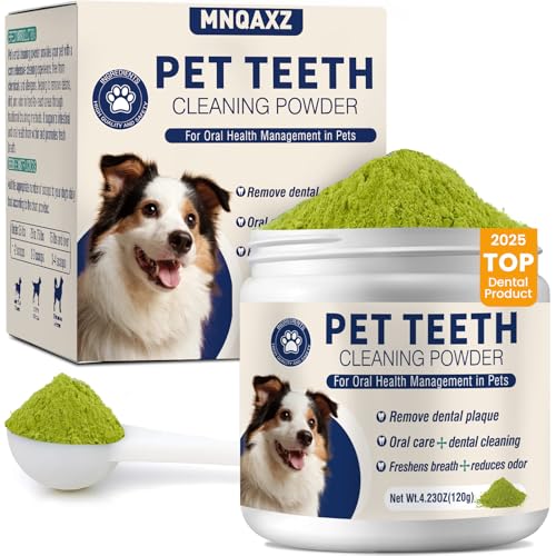 Buy Dog Insurance for Dental Treatments