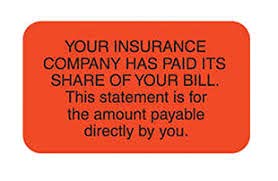 Buy Dog Insurance With High Payout Limits
