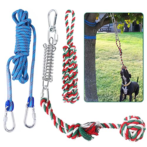 Buy Dog Outdoor Play Set