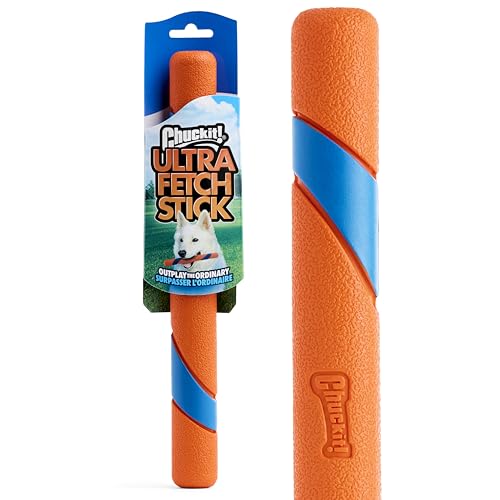 Buy Dog Park Toys