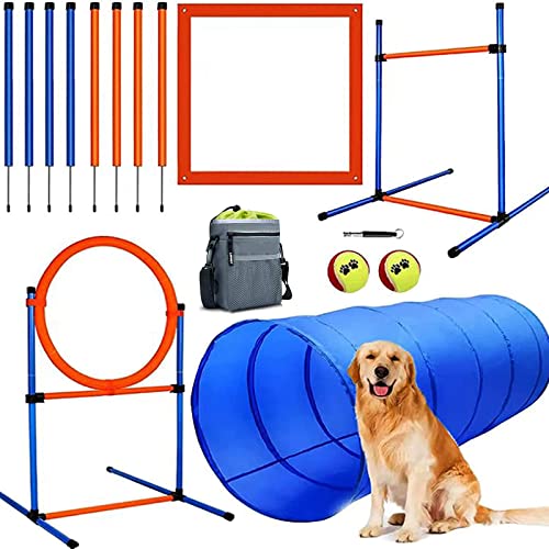Buy Dog Play Equipment for Backyard