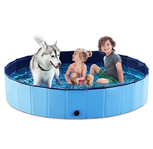Buy Dog Swimming Pool for Backyard Fun