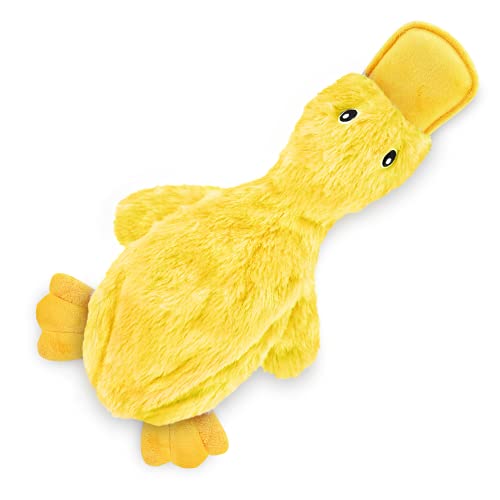 Buy Dog Toys for Elderly Dogs
