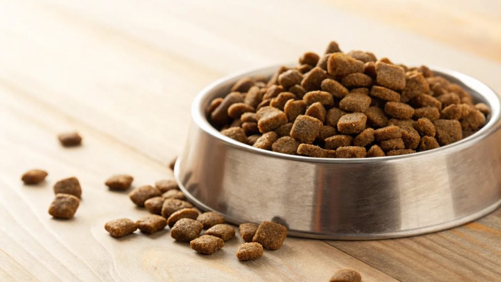 Can Dog Food Go Bad in Heat