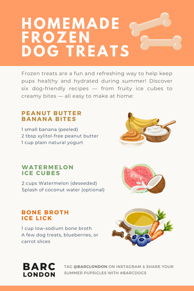 Can Dogs Eat Frozen Food