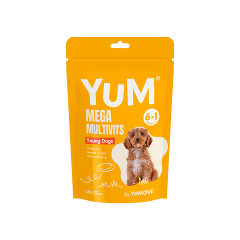 Can Dogs Take Vitamin C