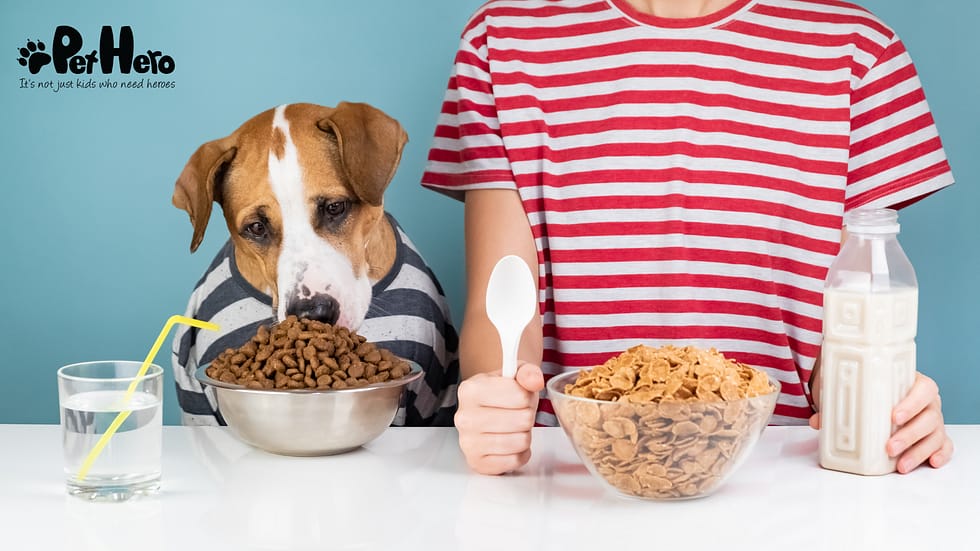 Can Food Trigger Seizures in Dogs