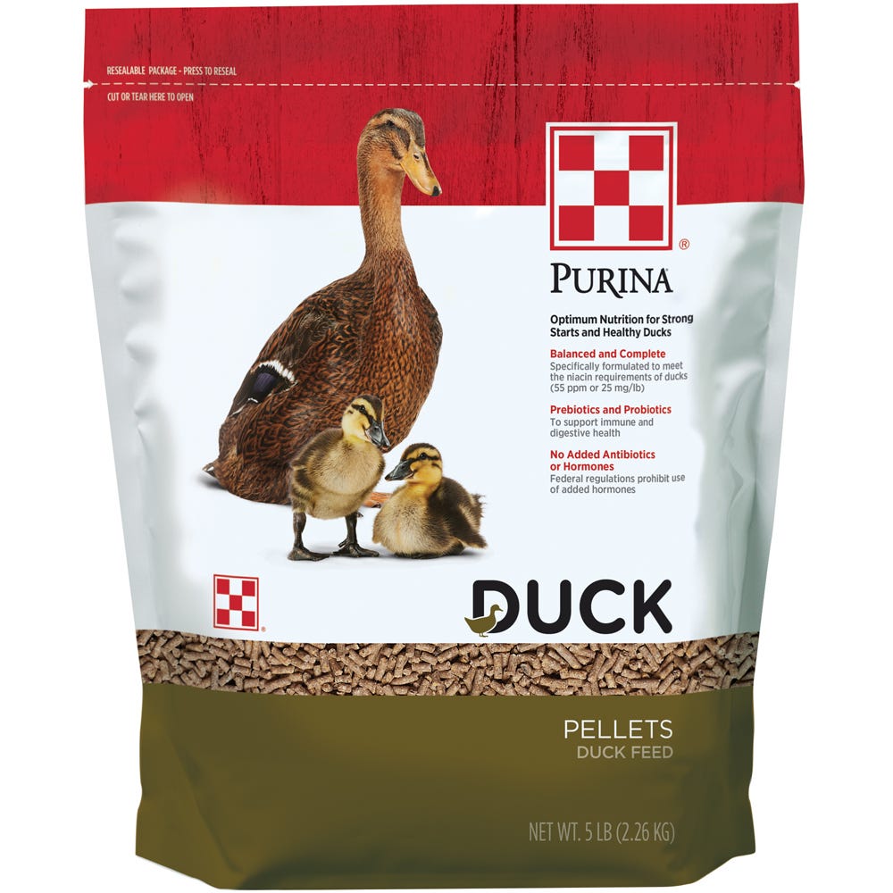 Can I Feed Ducks Dog Food