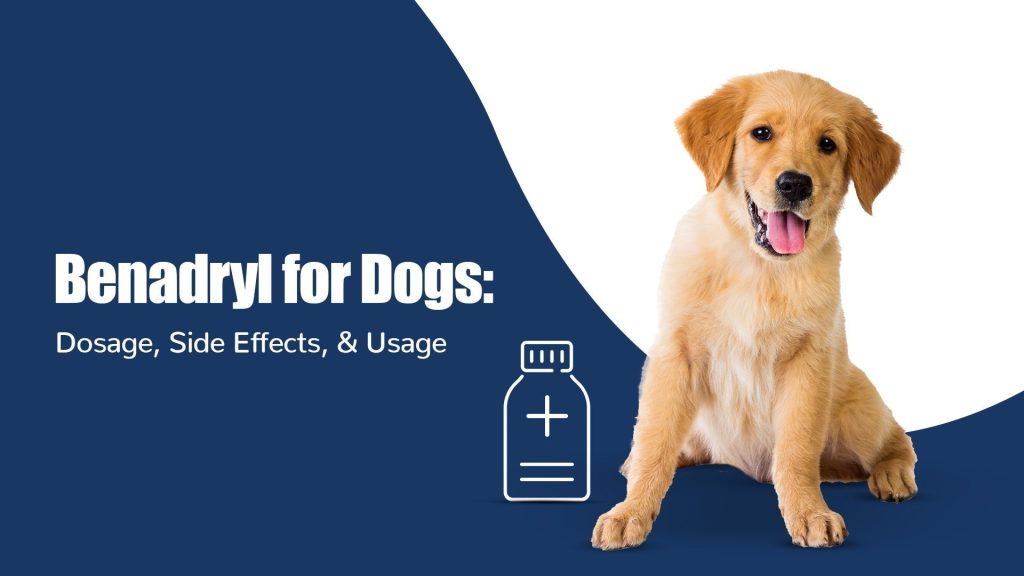 Can I Give My Dog Benadryl for Anxiety