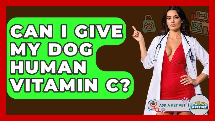 Can I Give My Dog Human Vitamin C