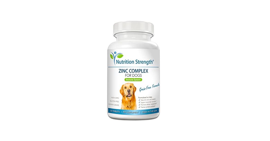 Can I Give My Dog Human Zinc Supplements