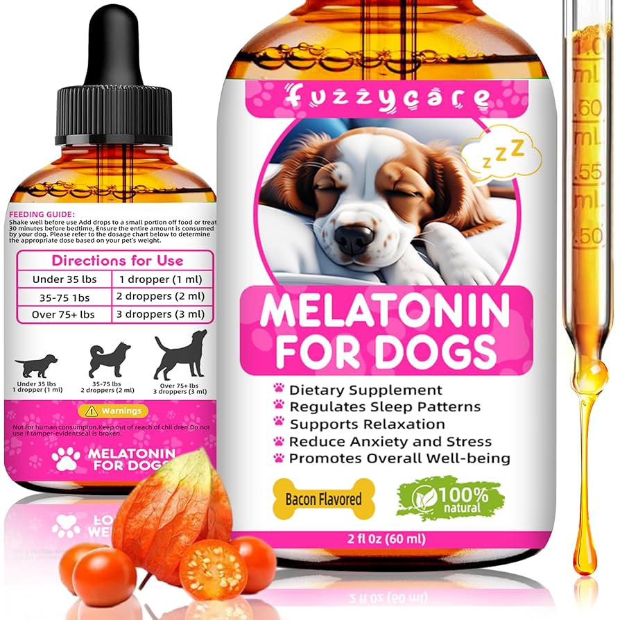 Can I Give My Dog Melatonin for Anxiety