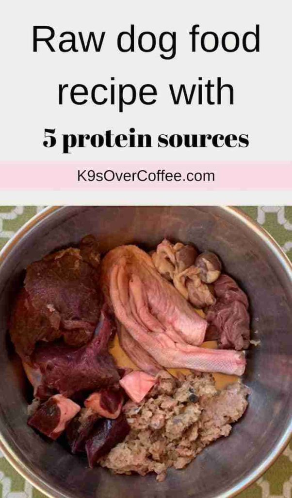 Can You Cook Raw Dog Food