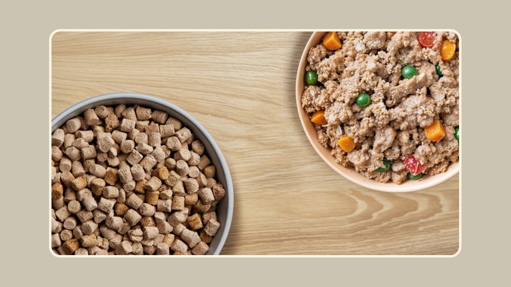 Can You Freeze Pet Fresh Dog Food