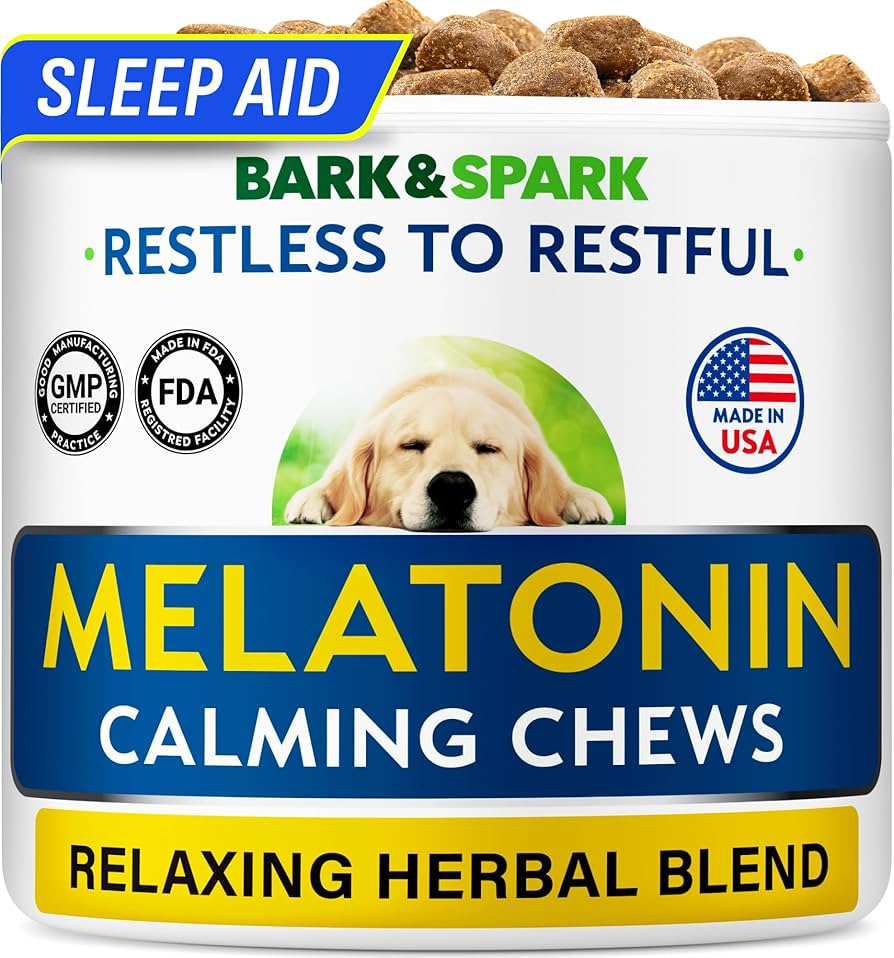 Can You Give a Dog Melatonin for Anxiety