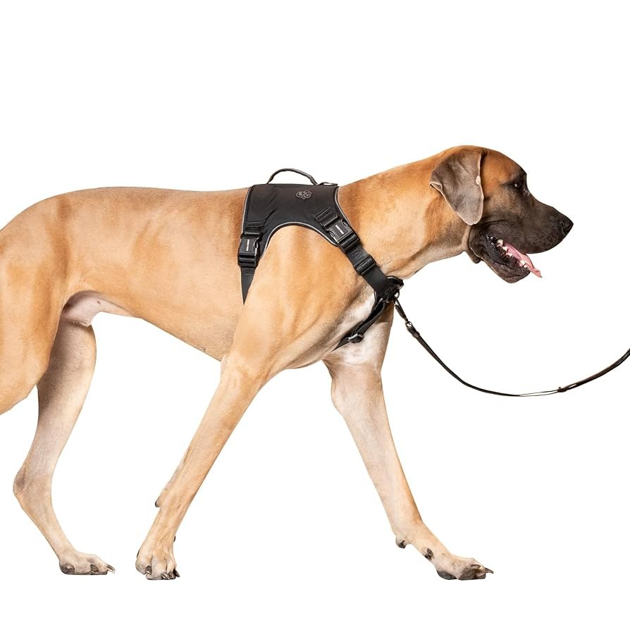 Canada Pooch Complete Control Dog Harness