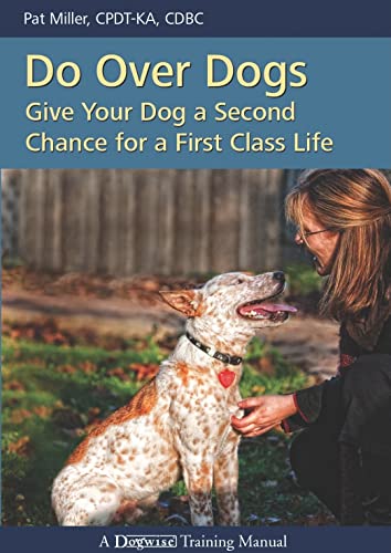 Cheap Dog Insurance for Older Dogs
