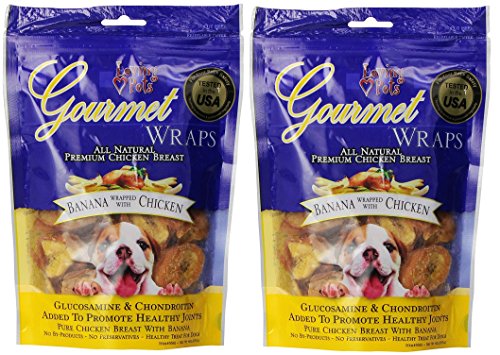 Cheap Pet Insurance for Older Dogs
